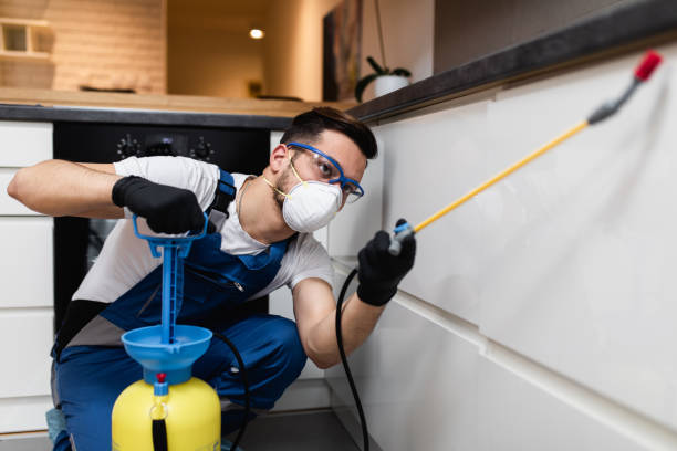 Pest Prevention Services in Sugarcreek, PA