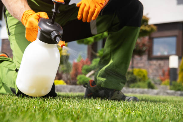 Best Termite Control Services  in Sugarcreek, PA