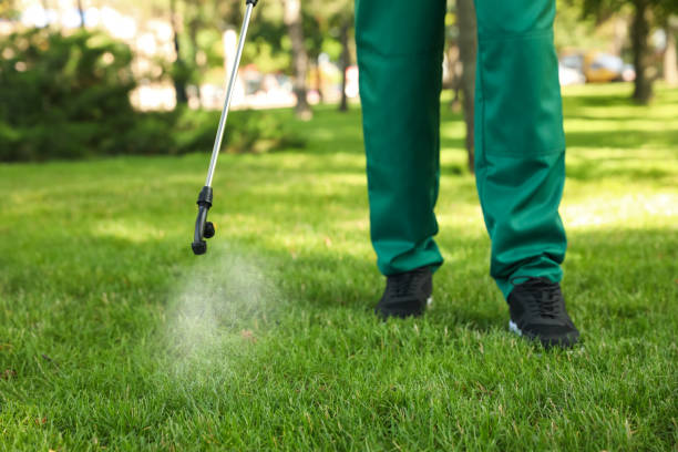 Best Flea Control Services  in Sugarcreek, PA