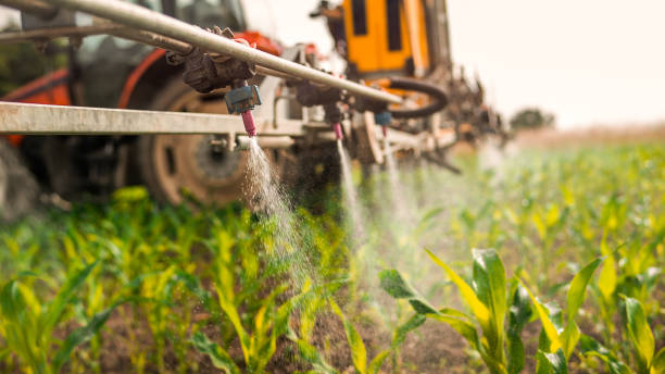 Best Insect Control  in Sugarcreek, PA